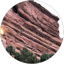 Stacey D. profile picture